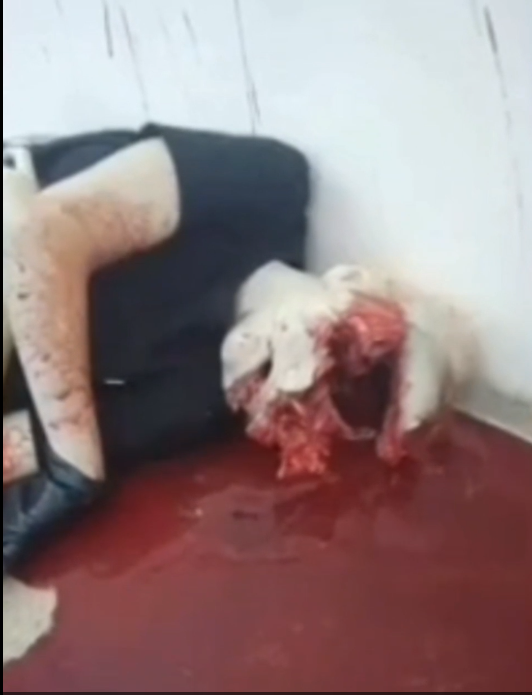 nigger nigger nigger nigger nigger nigger nigger nigger nigger nigger nigger nigger nigger nigger nigger nigger nigger nigger nigger nigger nigger nigger nigger nigger nigger nigger nigger nigger nigger nigger nigger nigger nigger nigger nigger nigger nig